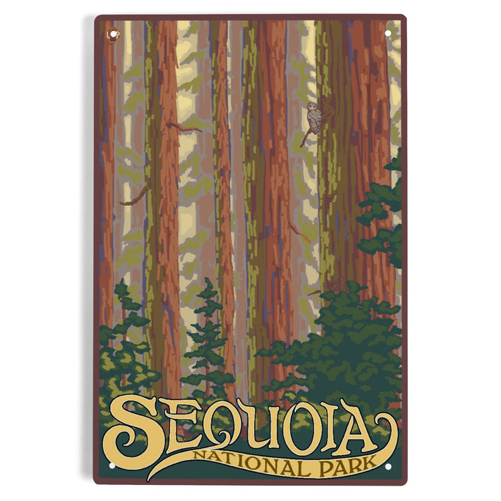 Sequoia National Park, California, Forest View, Metal Signs Metal Lantern Press 