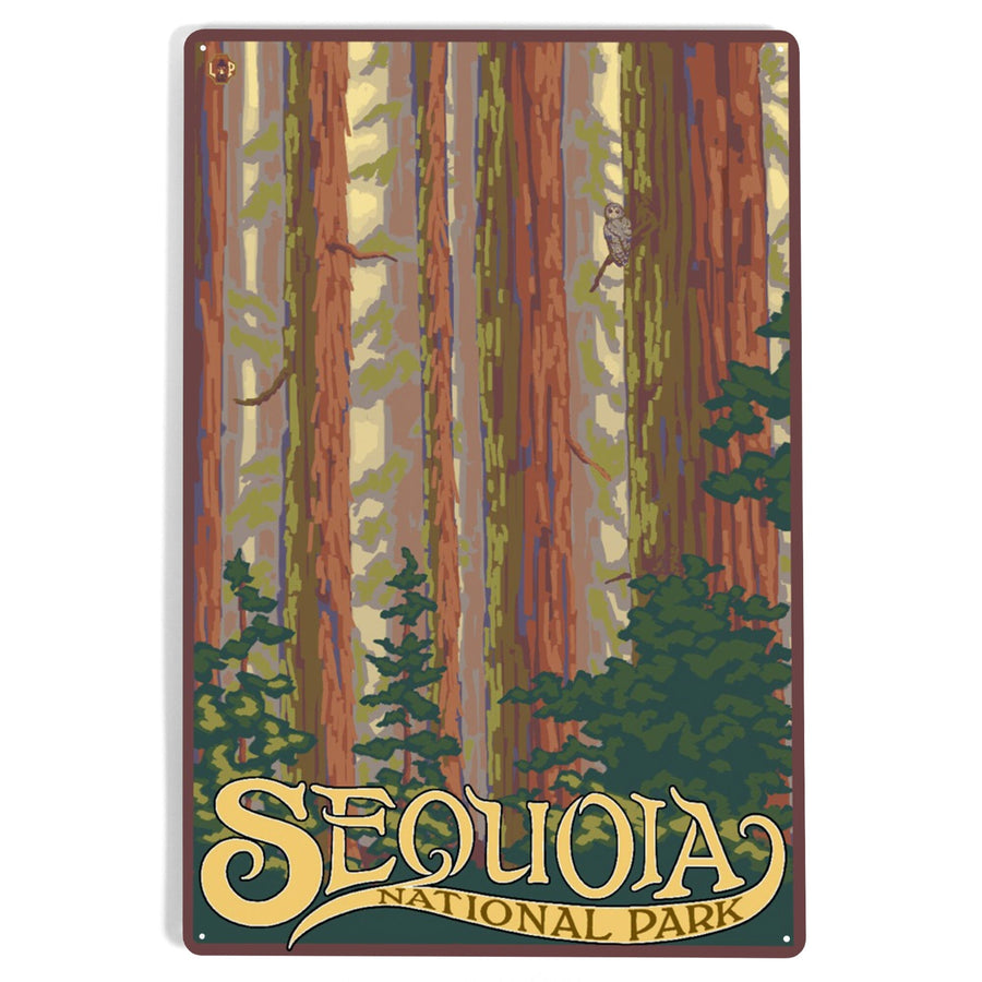 Sequoia National Park, California, Forest View, Metal Signs Metal Lantern Press 