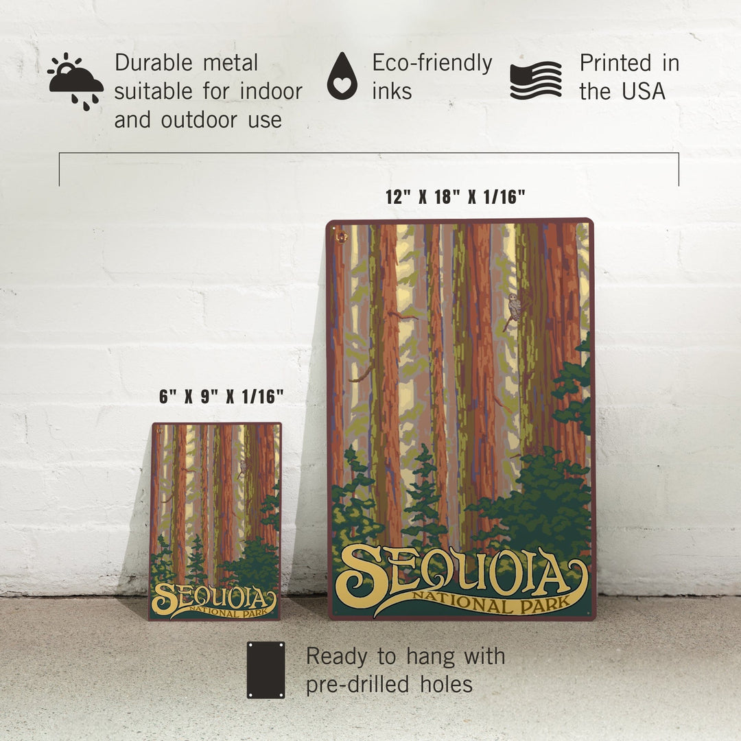 Sequoia National Park, California, Forest View, Metal Signs Metal Lantern Press 