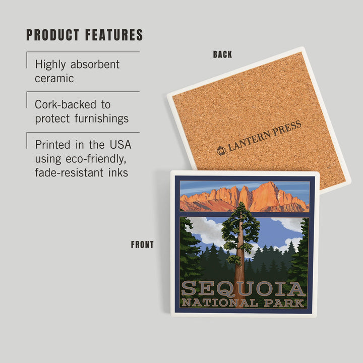Sequoia National Park, California, Sequoia Tree and Palisades, Coasters Coasters Lantern Press 