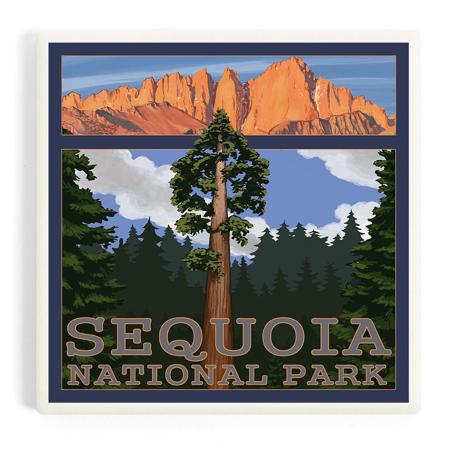 Sequoia National Park, California, Sequoia Tree and Palisades, Coasters Coasters Lantern Press 