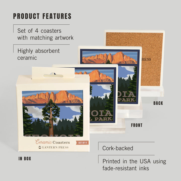 Sequoia National Park, California, Sequoia Tree and Palisades, Coasters Coasters Lantern Press 