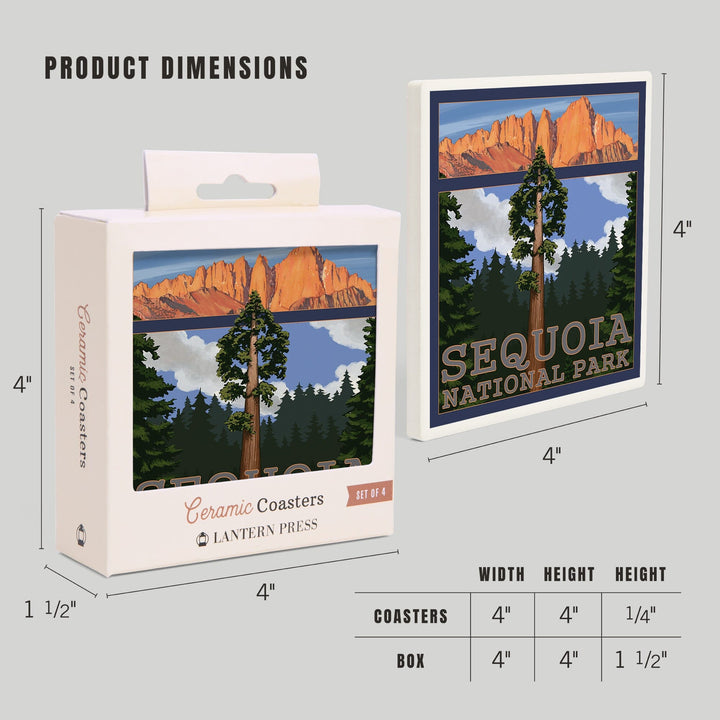 Sequoia National Park, California, Sequoia Tree and Palisades, Coasters Coasters Lantern Press 