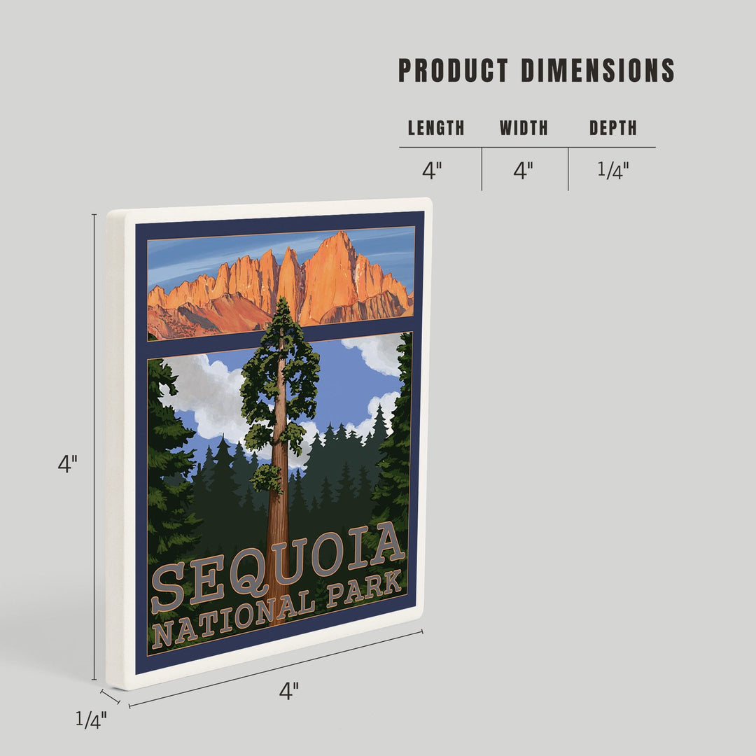 Sequoia National Park, California, Sequoia Tree and Palisades, Coasters Coasters Lantern Press 