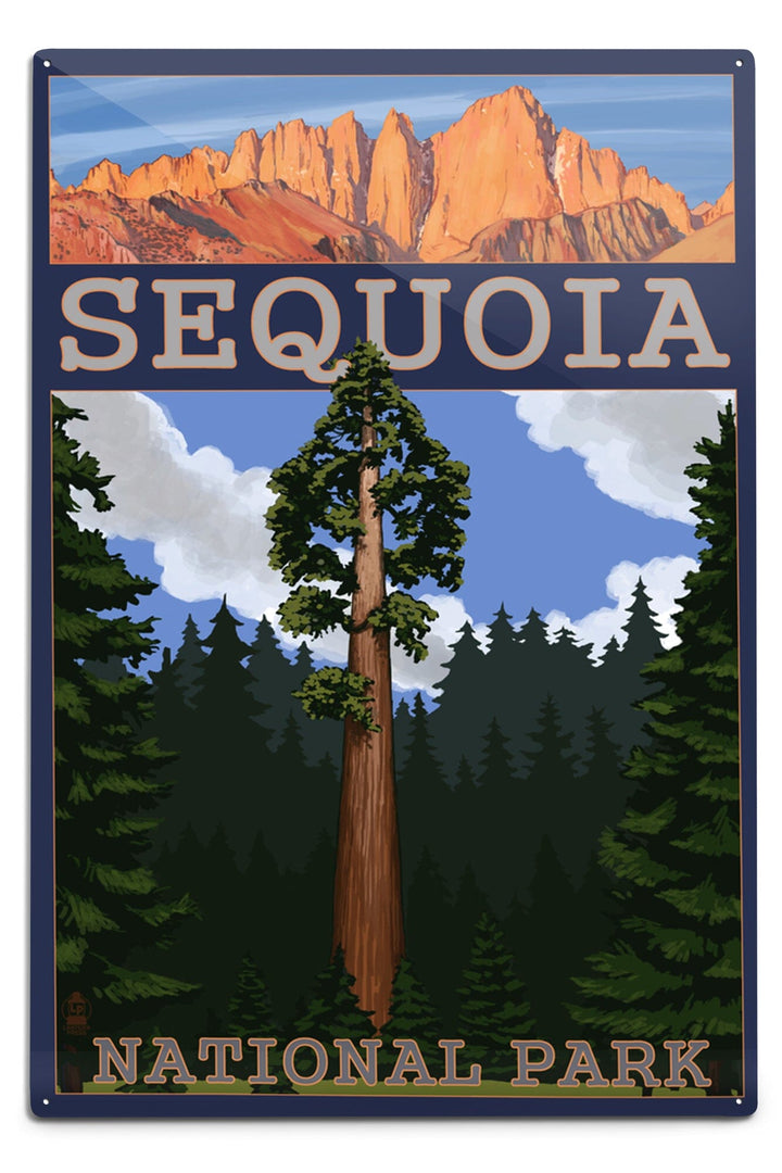 Sequoia National Park, California, Sequoia Tree and Palisades, Metal Signs Metal Lantern Press 12x18 Metal Sign 