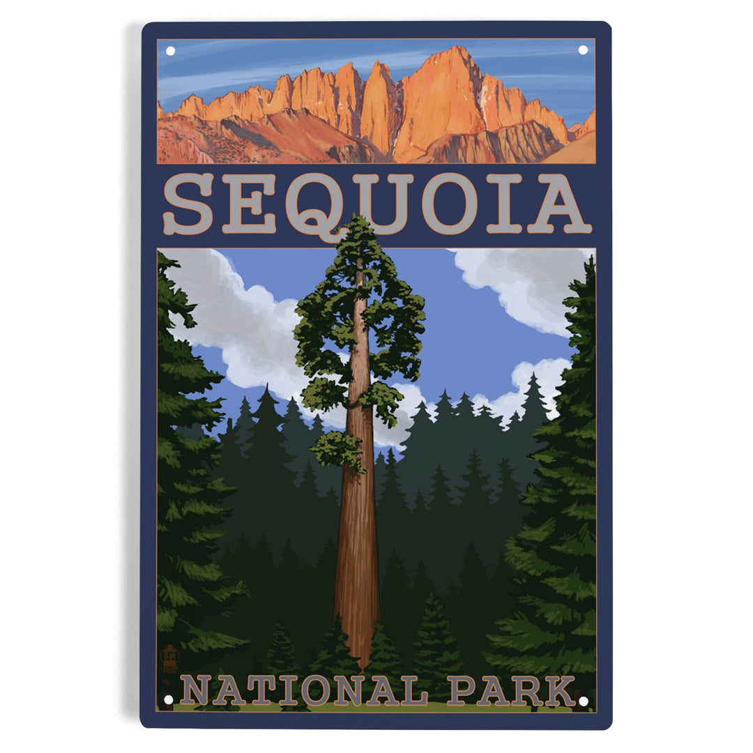 Sequoia National Park, California, Sequoia Tree and Palisades, Metal Signs Metal Lantern Press 