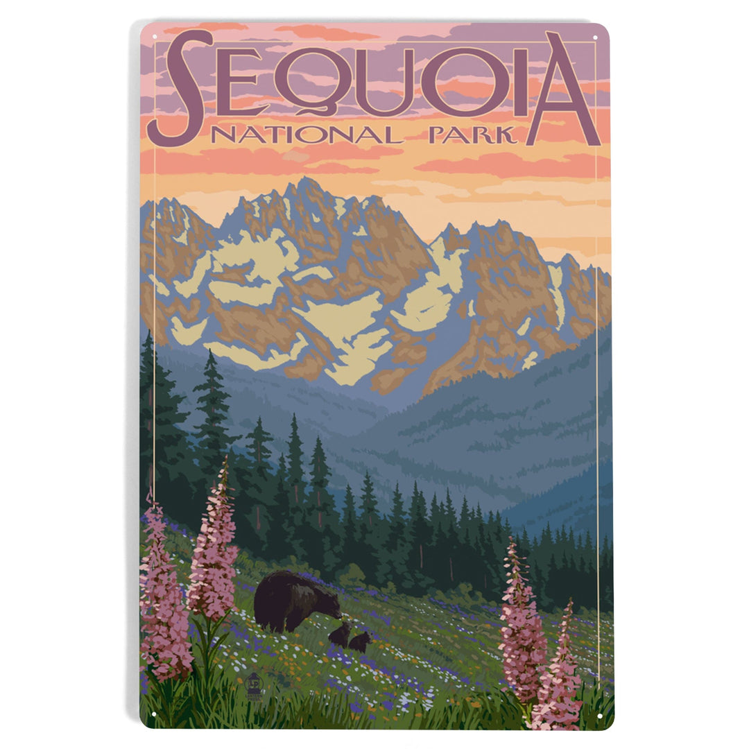 Sequoia National Park, California, Spring Flowers, Metal Signs Metal Lantern Press 