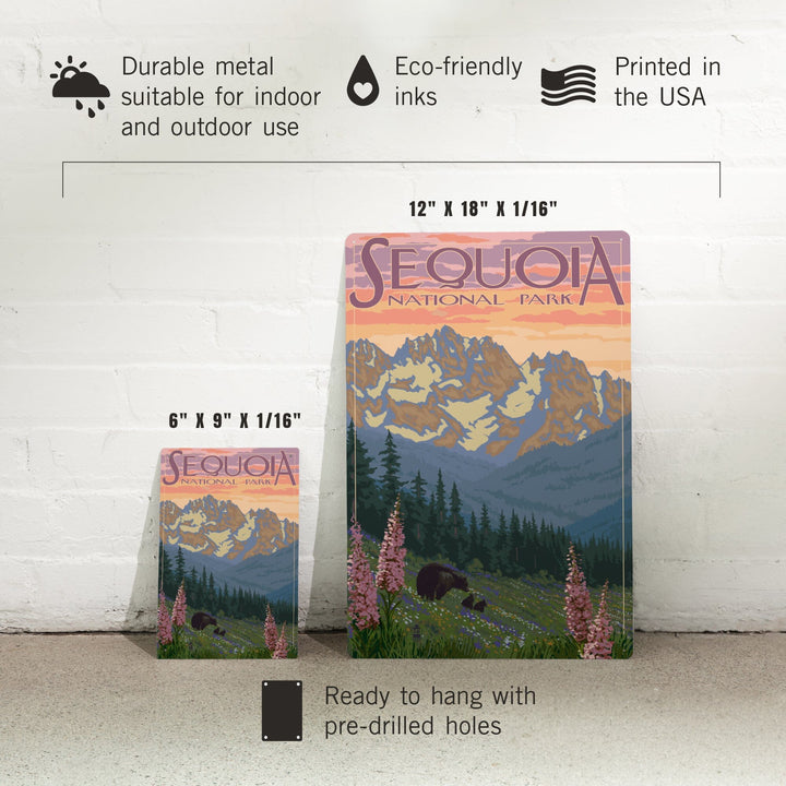 Sequoia National Park, California, Spring Flowers, Metal Signs Metal Lantern Press 