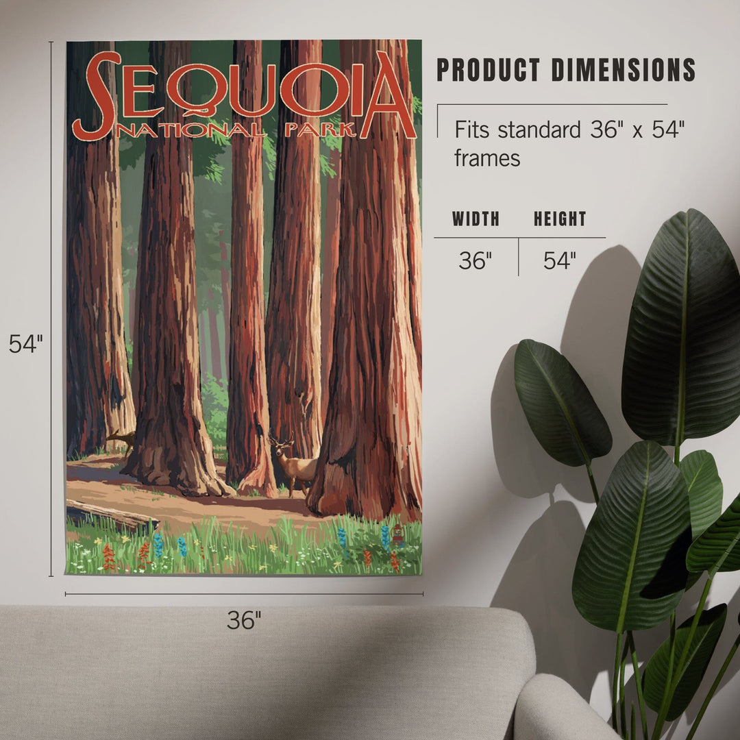 Sequoia National Park, Forest Grove in Spring, Art & Giclee Prints Art Lantern Press 