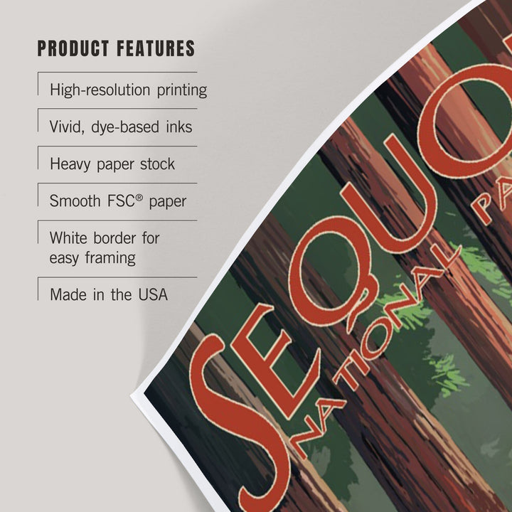 Sequoia National Park, Forest Grove in Spring, Art & Giclee Prints Art Lantern Press 