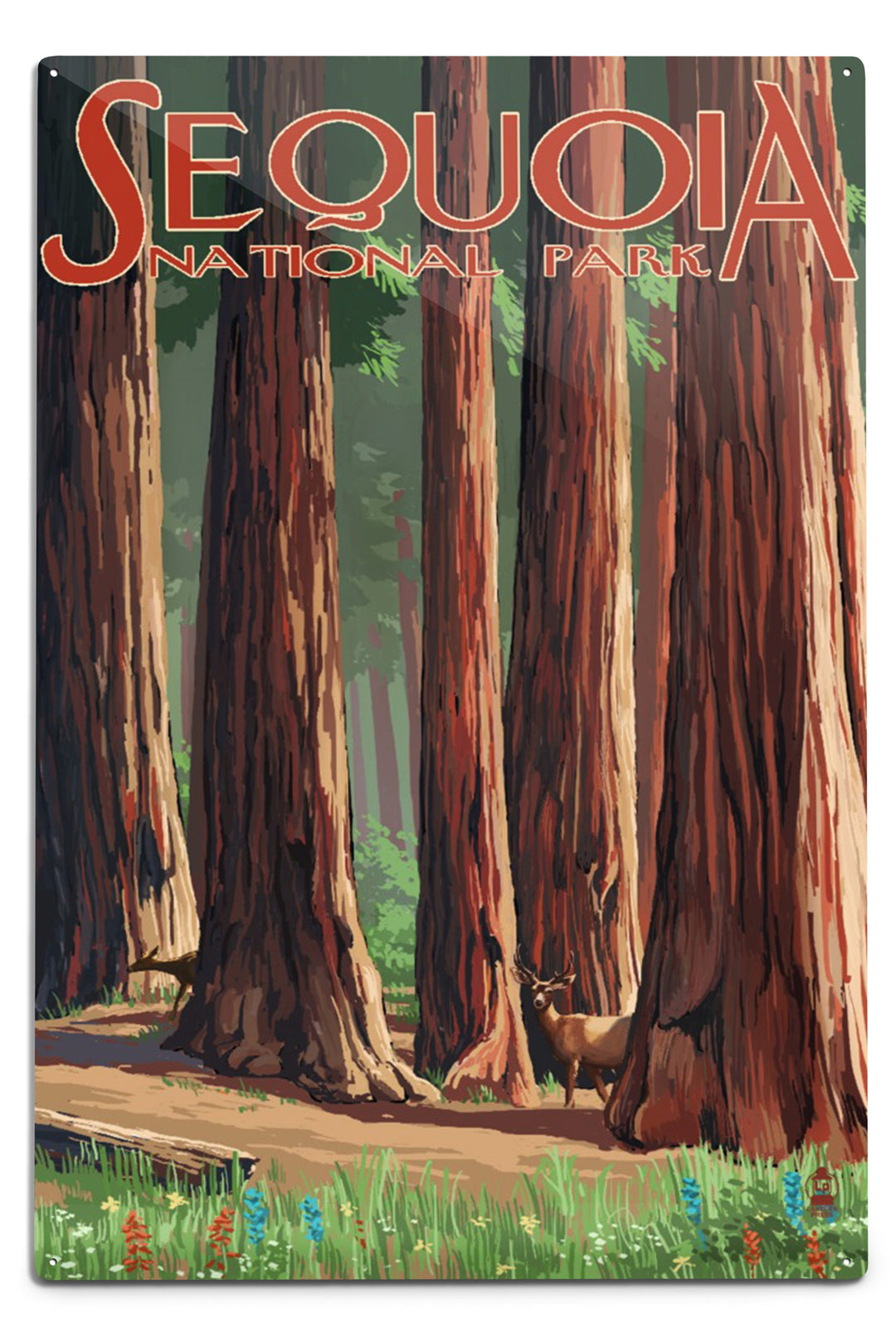 Sequoia National Park, Forest Grove in Spring, Metal Signs Metal Lantern Press 12x18 Metal Sign 