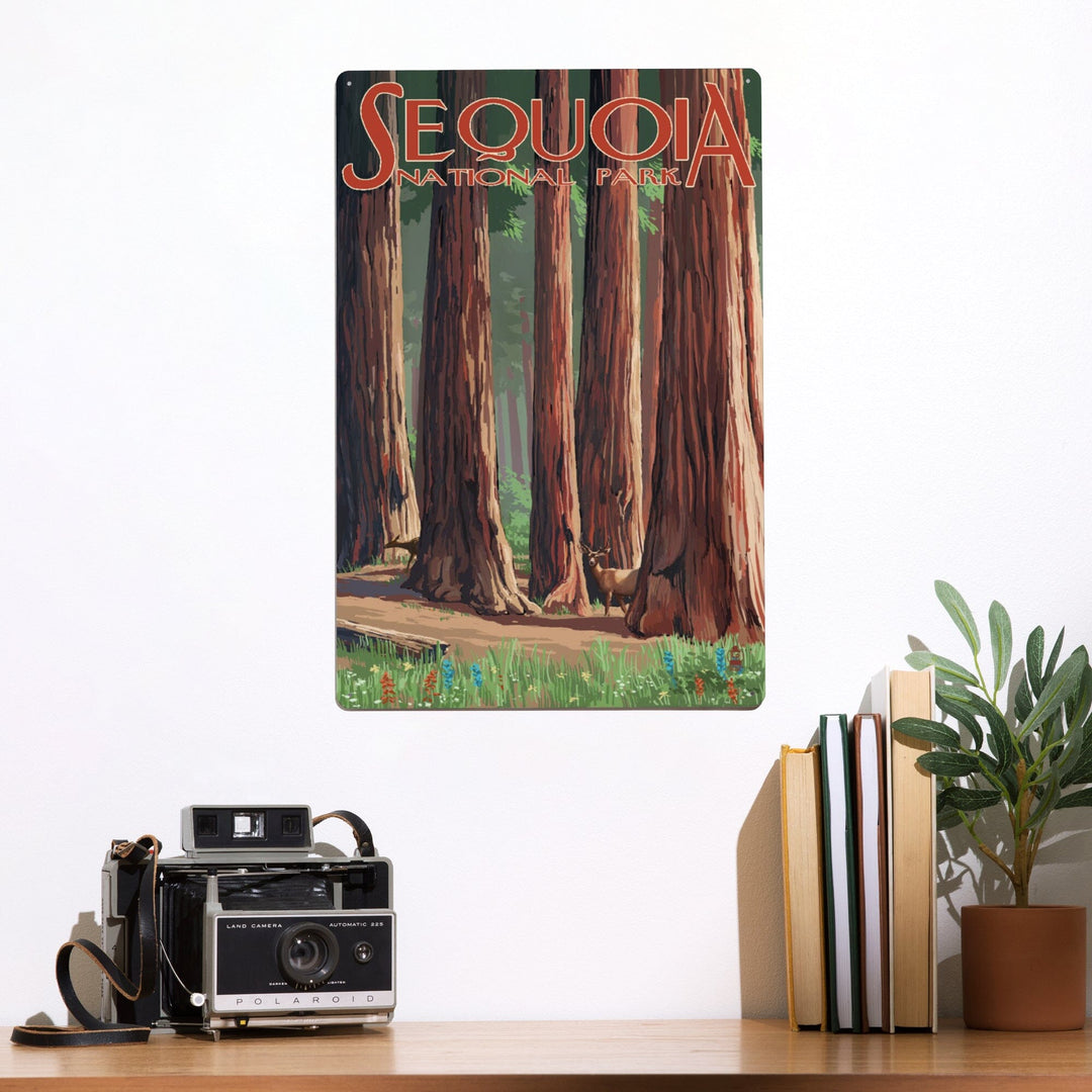 Sequoia National Park, Forest Grove in Spring, Metal Signs Metal Lantern Press 