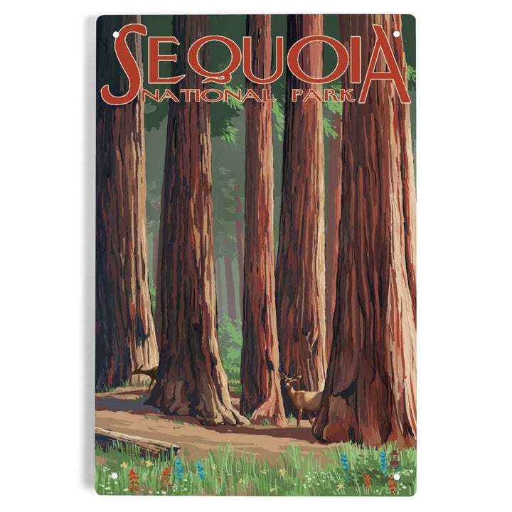 Sequoia National Park, Forest Grove in Spring, Metal Signs Metal Lantern Press 