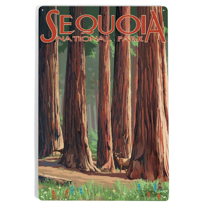 Sequoia National Park, Forest Grove in Spring, Metal Signs Metal Lantern Press 