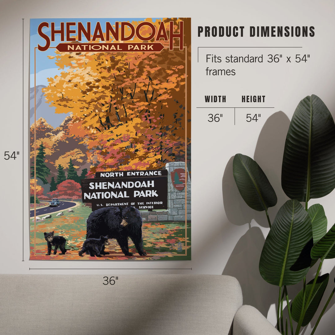 Shenandoah National Park, Virginia, Black Bear and Cubs at Entrance, Art & Giclee Prints Art Lantern Press 