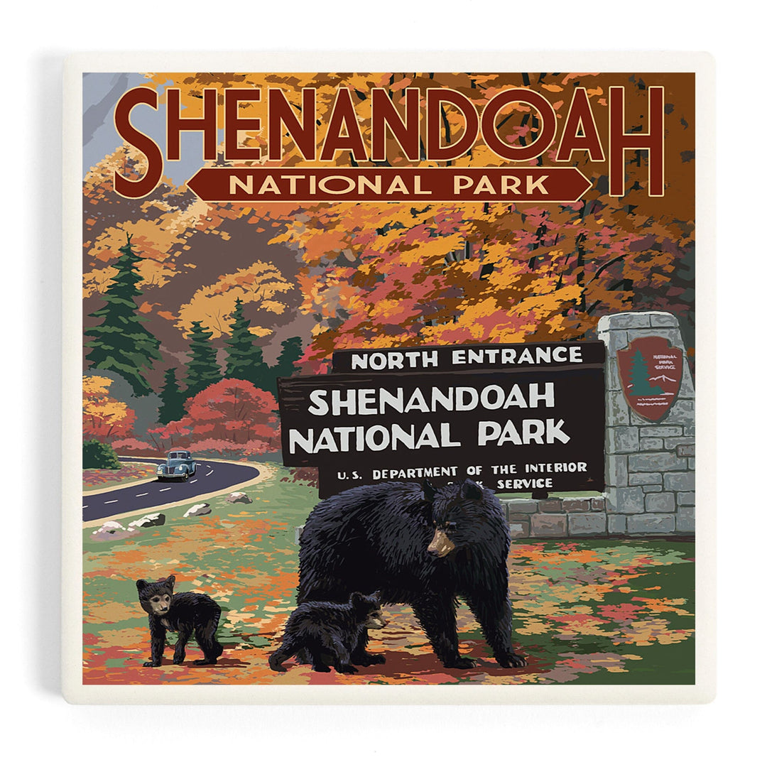 Shenandoah National Park, Virginia, Black Bear and Cubs at Entrance, Coasters Coasters Lantern Press 