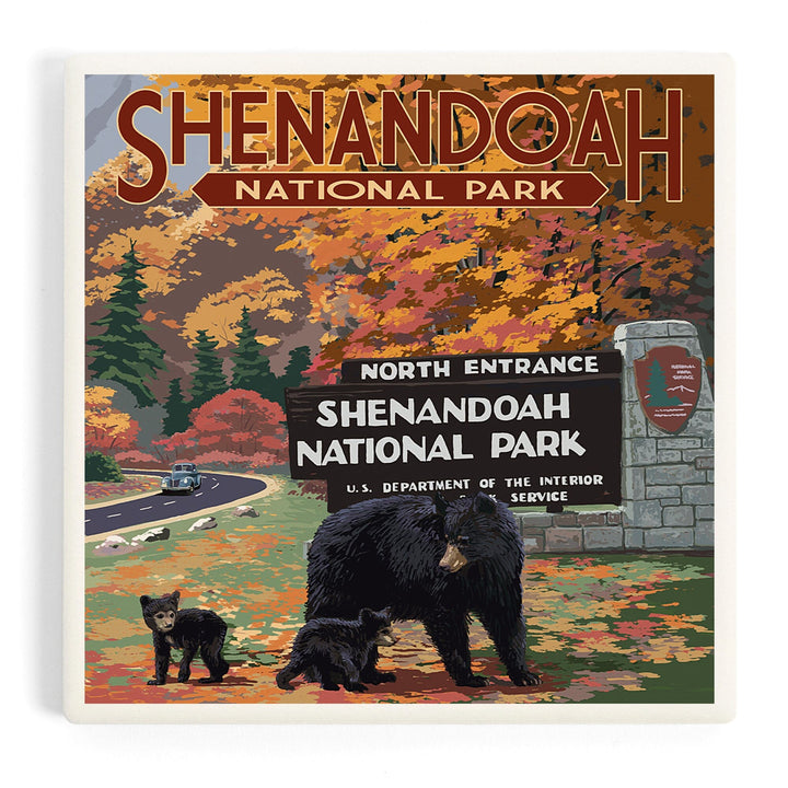 Shenandoah National Park, Virginia, Black Bear and Cubs at Entrance, Coasters Coasters Lantern Press 