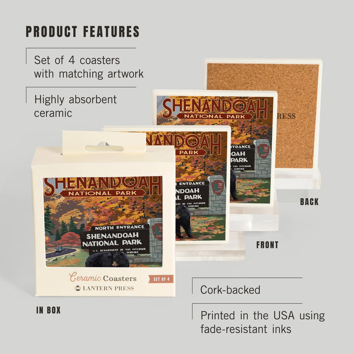 Shenandoah National Park, Virginia, Black Bear and Cubs at Entrance, Coasters Coasters Lantern Press 