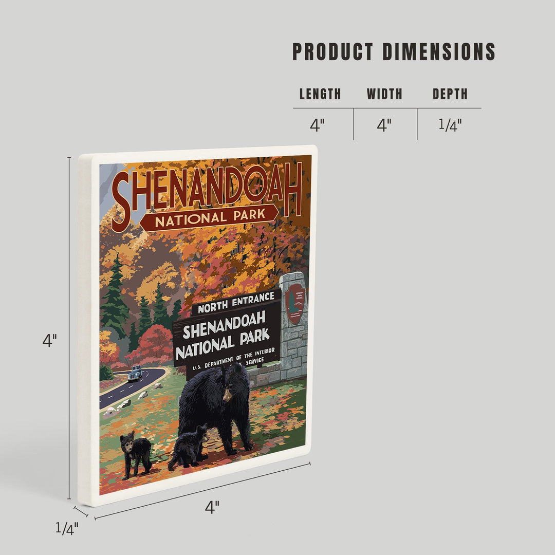 Shenandoah National Park, Virginia, Black Bear and Cubs at Entrance, Coasters Coasters Lantern Press 