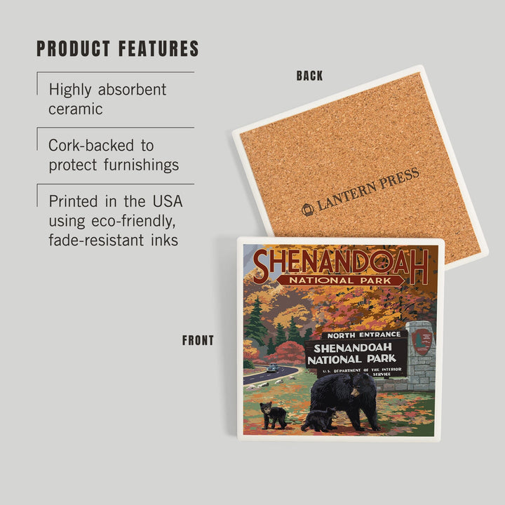 Shenandoah National Park, Virginia, Black Bear and Cubs at Entrance, Coasters Coasters Lantern Press 