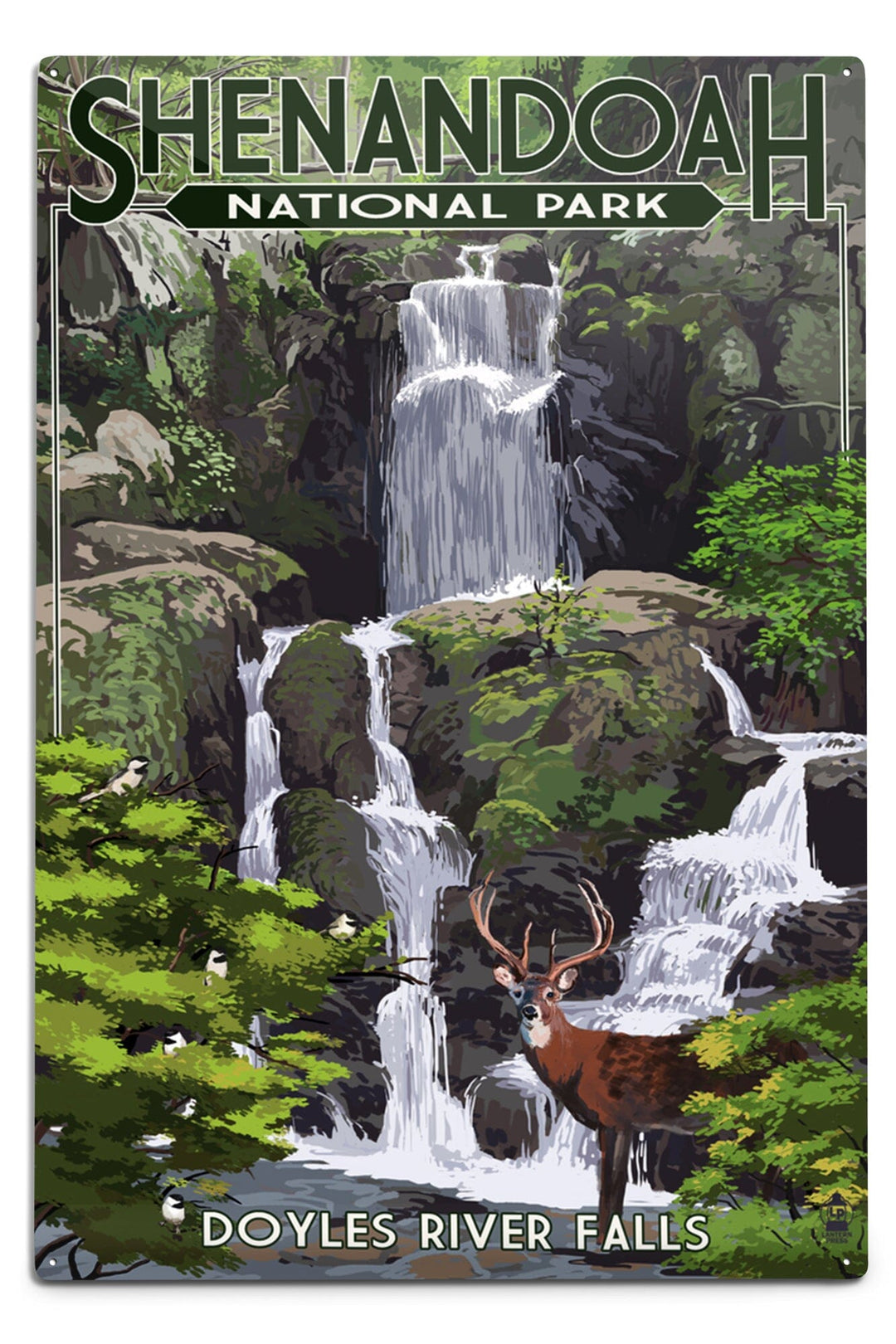 Shenandoah National Park, Virginia, Doyles River Falls, Metal Signs Metal Lantern Press 12x18 Metal Sign 