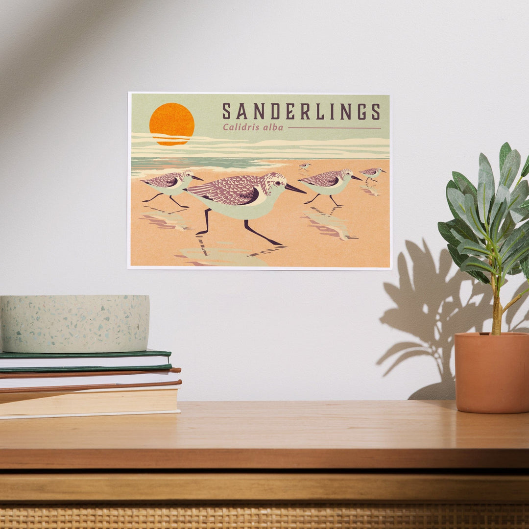 Shorebirds at Sunset Collection, Sanderlings, Birds, Art & Giclee Prints Art Lantern Press 