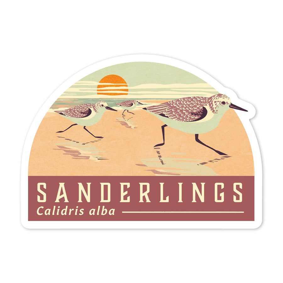 Shorebirds at Sunset Collection, Sanderlings, Birds, Contour, Vinyl Sticker Sticker Lantern Press 