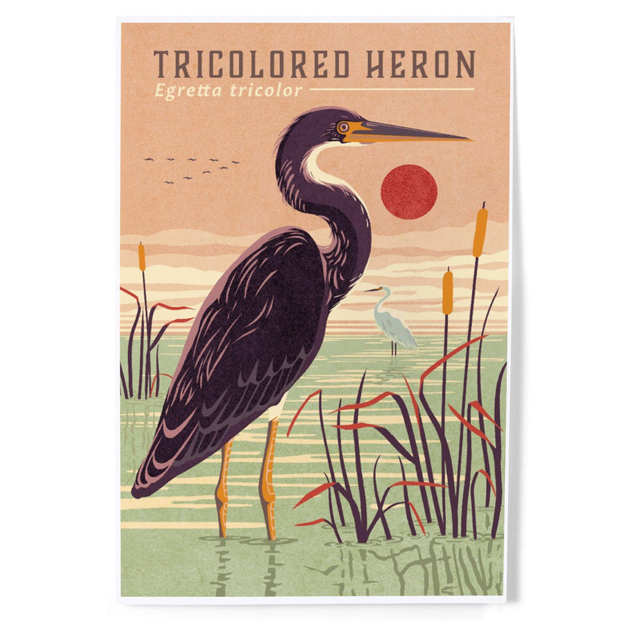 Shorebirds at Sunset Collection, Tricolored Heron, Bird, Art & Giclee Prints Art Lantern Press 
