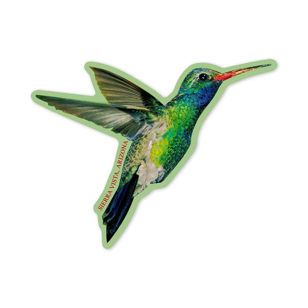 Sierra Vista, Arizona, Broadbill Hummingbird, Contour, Photography (James T. Jones), Vinyl Sticker Sticker Lantern Press 