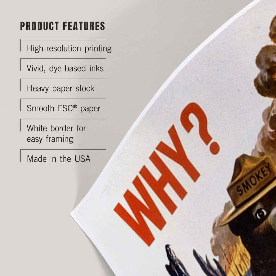 Smokey Bear, Why, Officially Licensed Vintage Poster, Art & Giclee Prints Art Lantern Press 