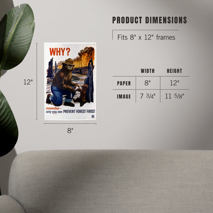 Smokey Bear, Why, Officially Licensed Vintage Poster, Art & Giclee Prints Art Lantern Press 