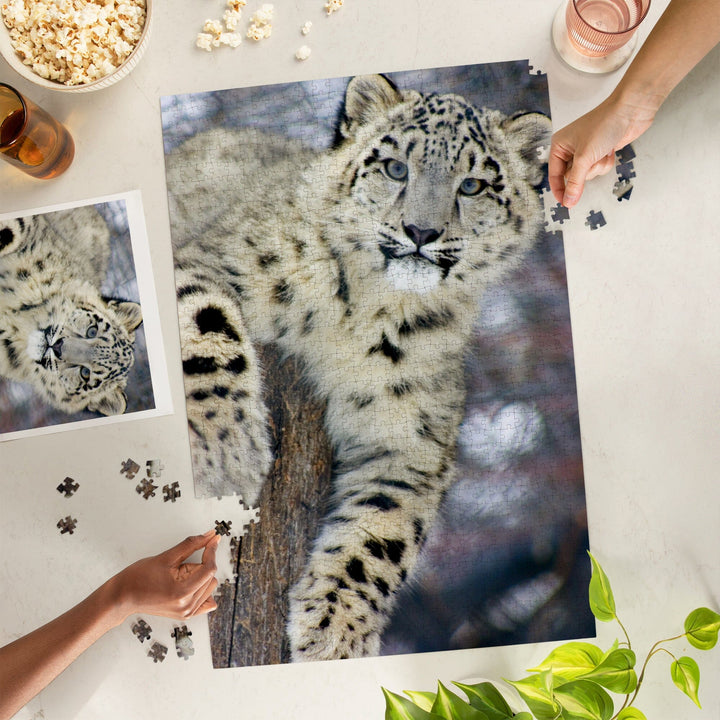 Snow Leopard, Jigsaw Puzzle Puzzle Lantern Press 