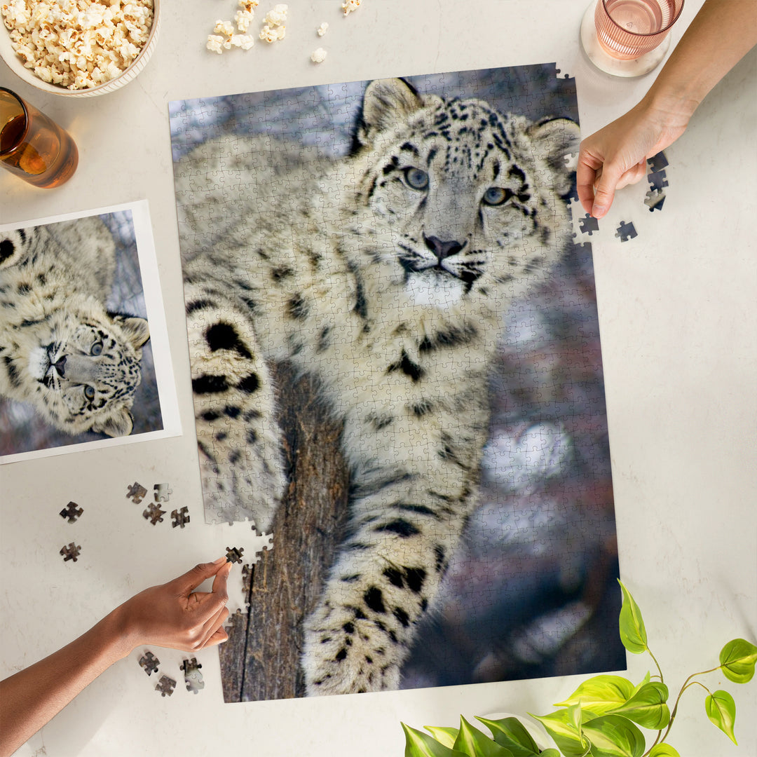 Snow Leopard, Jigsaw Puzzle Puzzle Lantern Press 