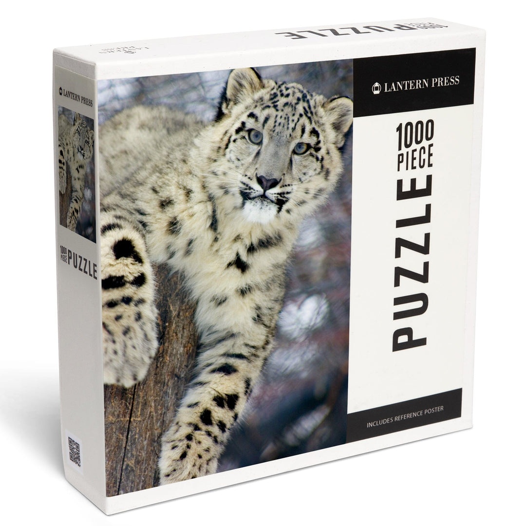 Snow Leopard, Jigsaw Puzzle Puzzle Lantern Press 