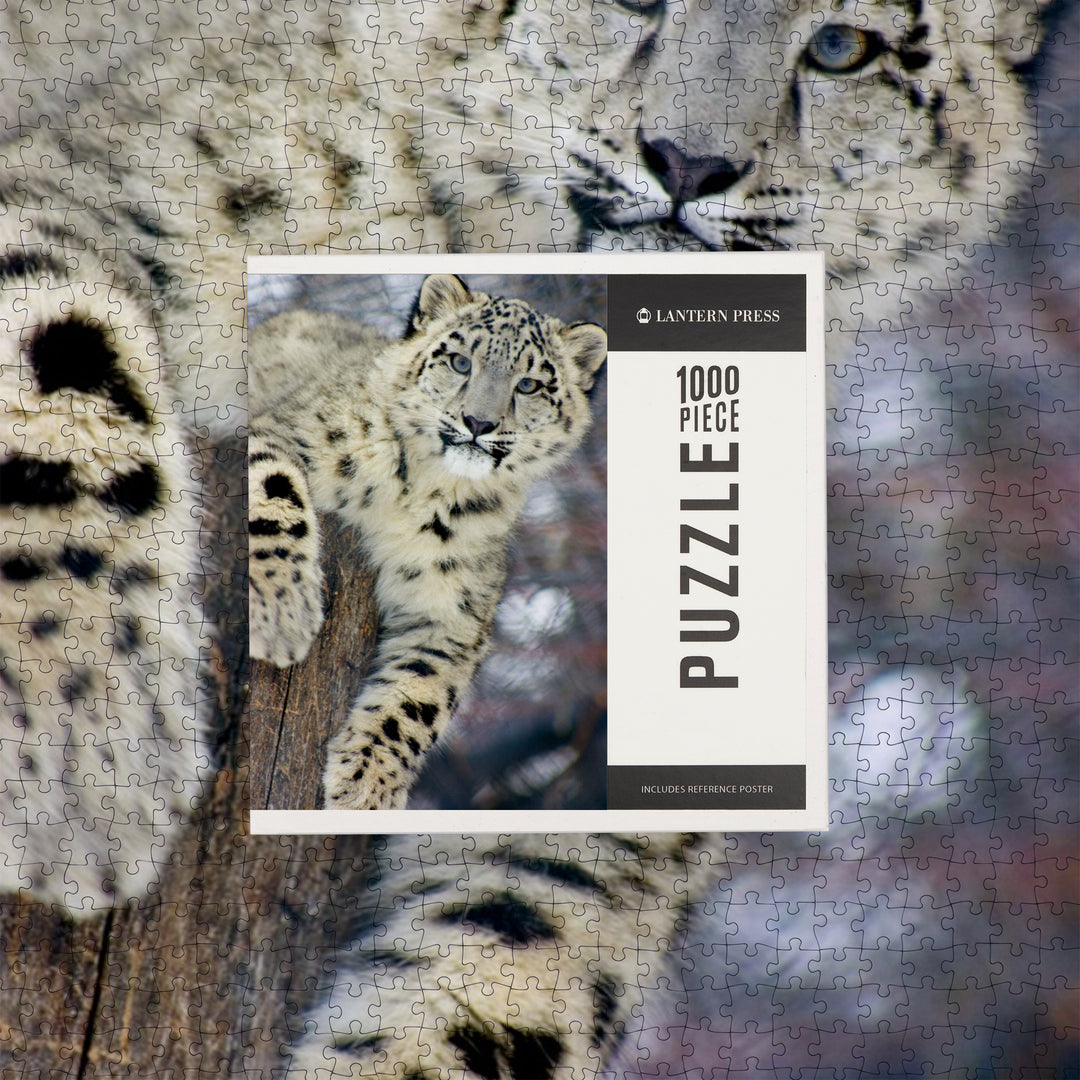Snow Leopard, Jigsaw Puzzle Puzzle Lantern Press 