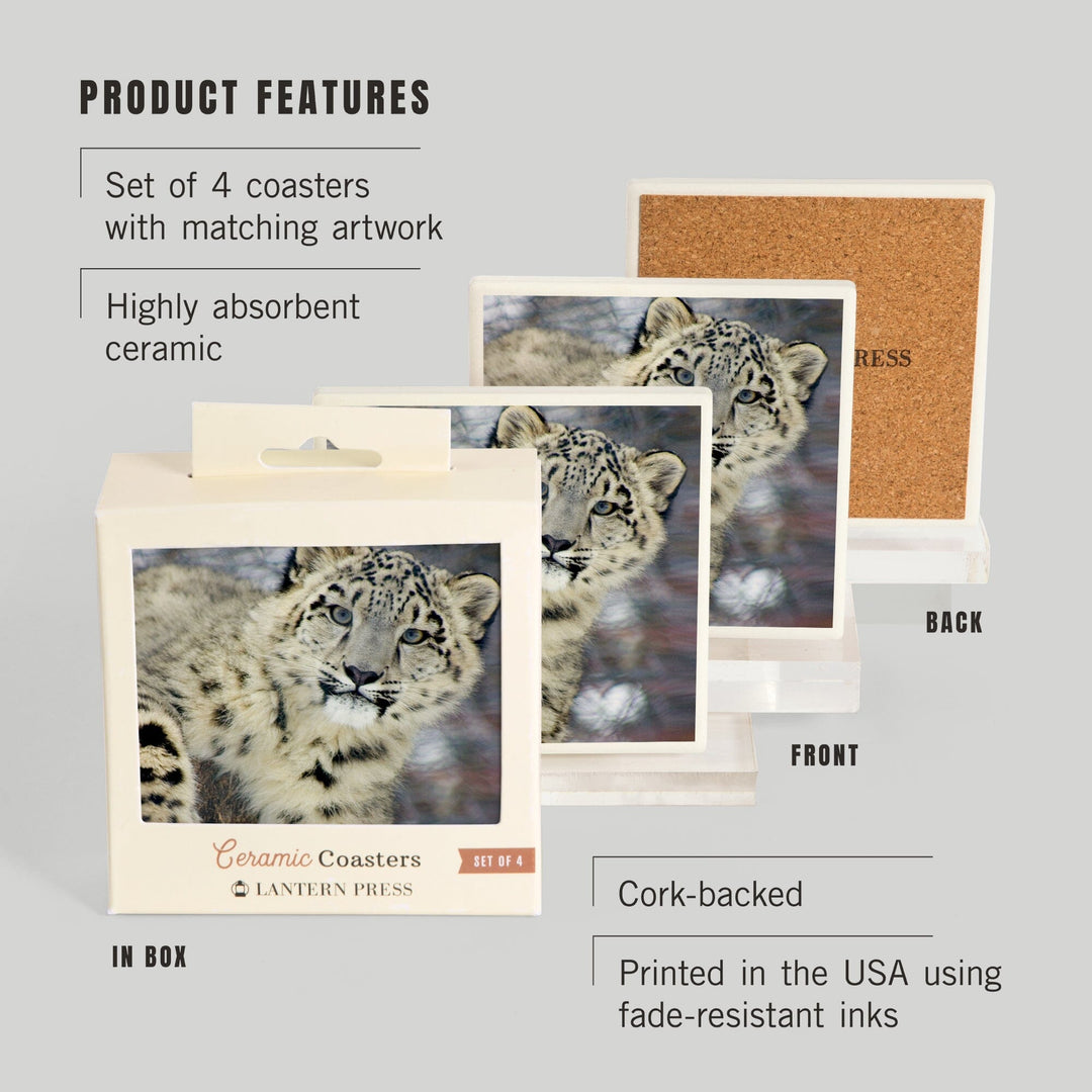 Snow Leopard, Lantern Press Photography, Coaster Set Coasters Lantern Press 