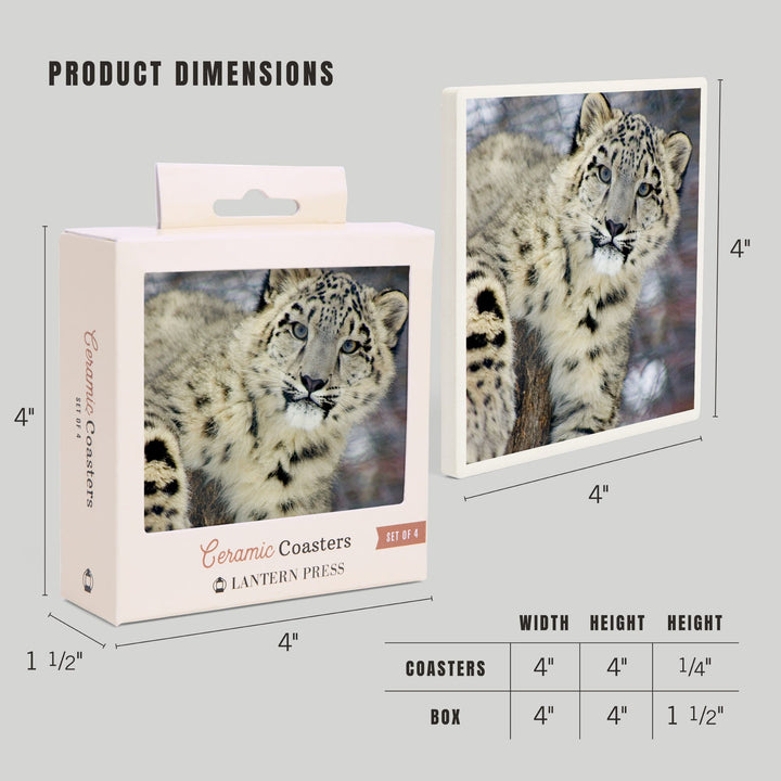 Snow Leopard, Lantern Press Photography, Coaster Set Coasters Lantern Press 