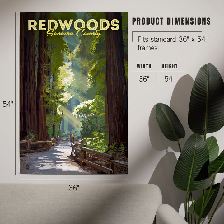 Sonoma County, California, Redwoods, Pathway in Trees, Art & Giclee Prints Art Lantern Press 