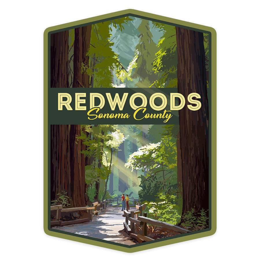 Sonoma County, California, Redwoods, Pathway in Trees, Contour, Lantern Press Artwork, Vinyl Sticker Sticker Lantern Press 