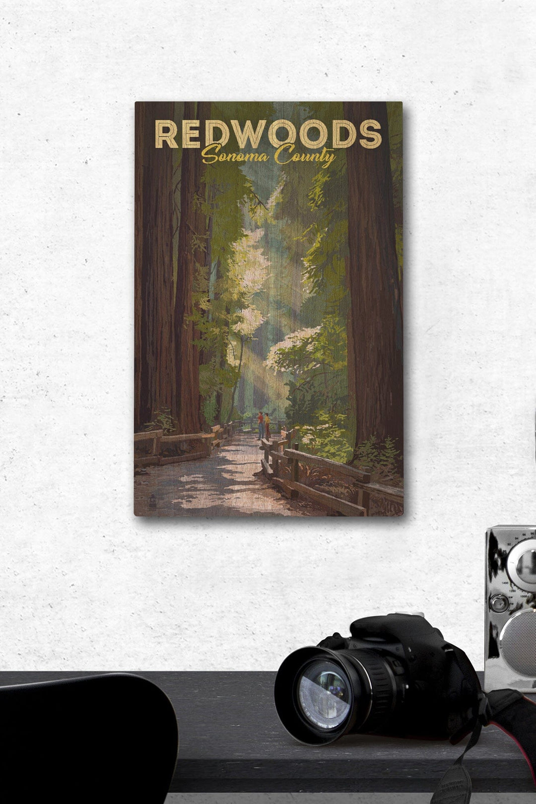 Sonoma County, California, Redwoods, Pathway in Trees, Lantern Press Artwork, Wood Signs and Postcards Wood Lantern Press 12 x 18 Wood Gallery Print 