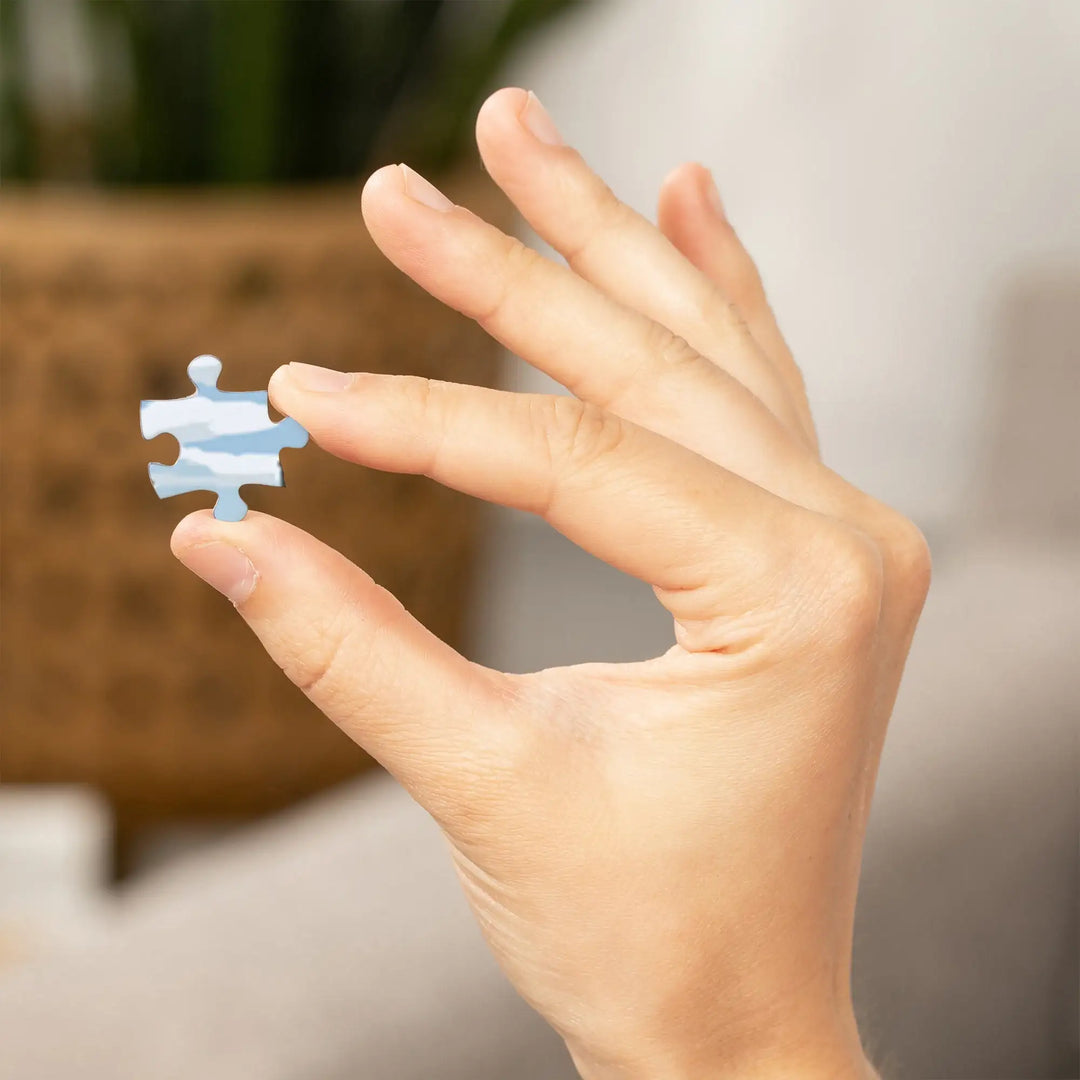 St. Augustine, Florida, Montage Scenes, Jigsaw Puzzle Puzzle Lantern Press 