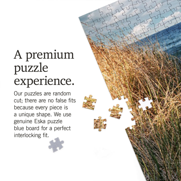 Stairs to Beach, Jigsaw Puzzle Puzzle Lantern Press 