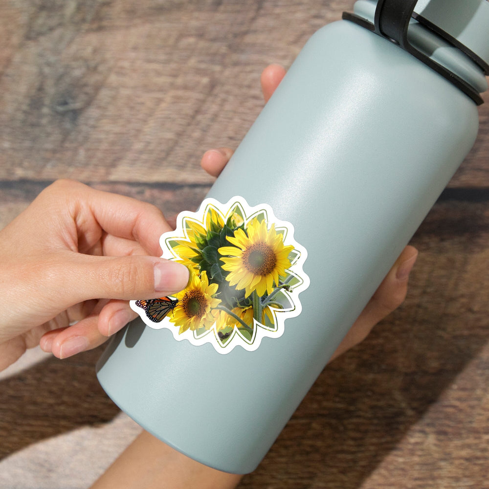 Sunflowers, Butterfly, Contour, Photography, Vinyl Sticker Sticker Lantern Press 