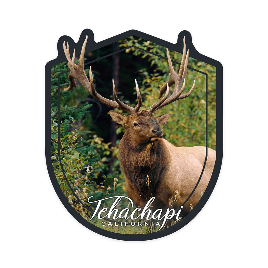 Tehachapi, California, Elk Bull, Contour, Vinyl Sticker Sticker Lantern Press 