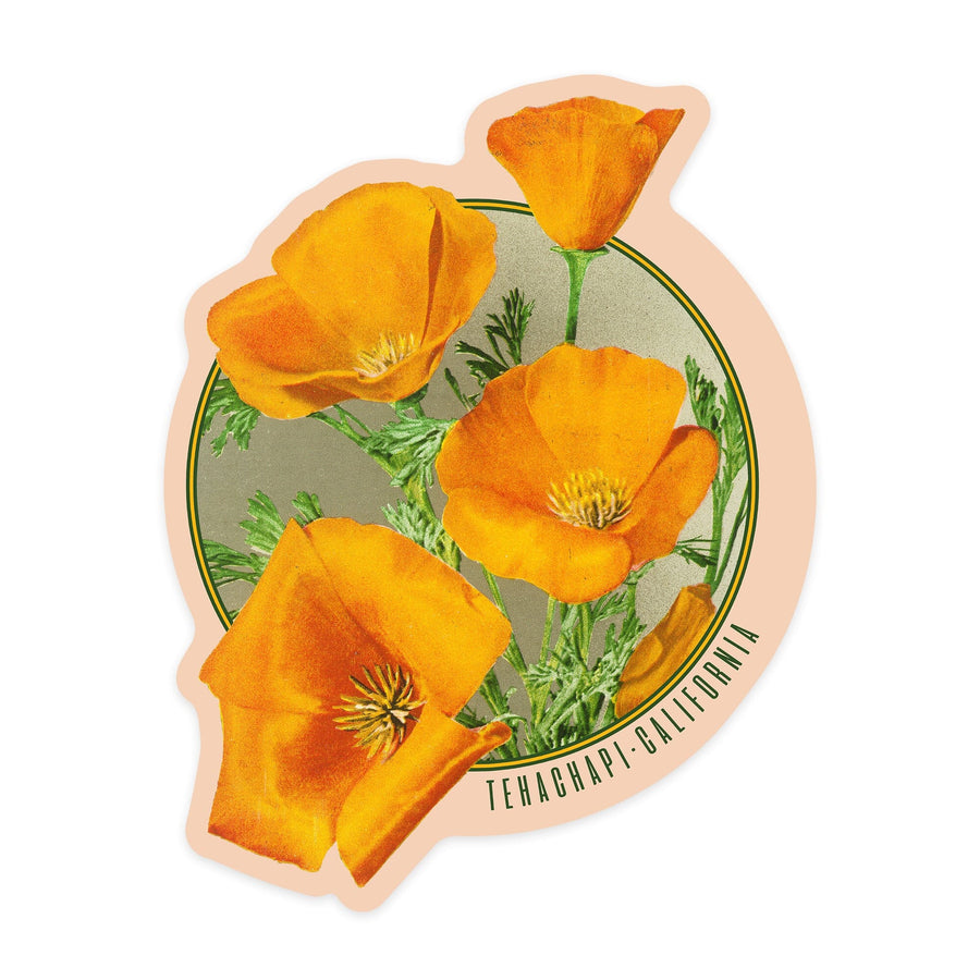 Tehachapi, California, Poppy Flowers, Contour, Vinyl Sticker Sticker Lantern Press 