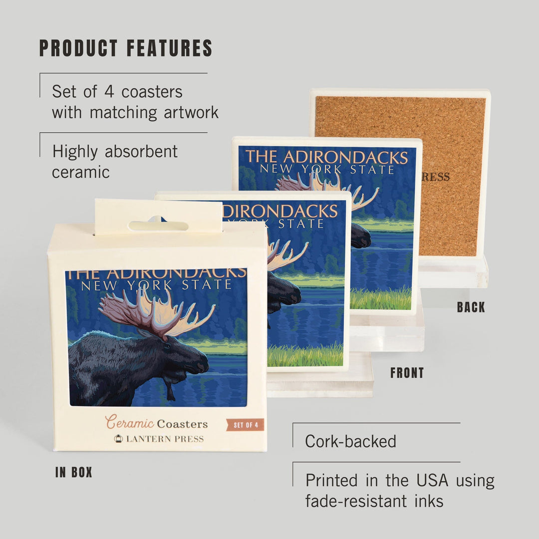 The Adirondacks, New York, Moose at Night, Coasters Coasters Lantern Press 
