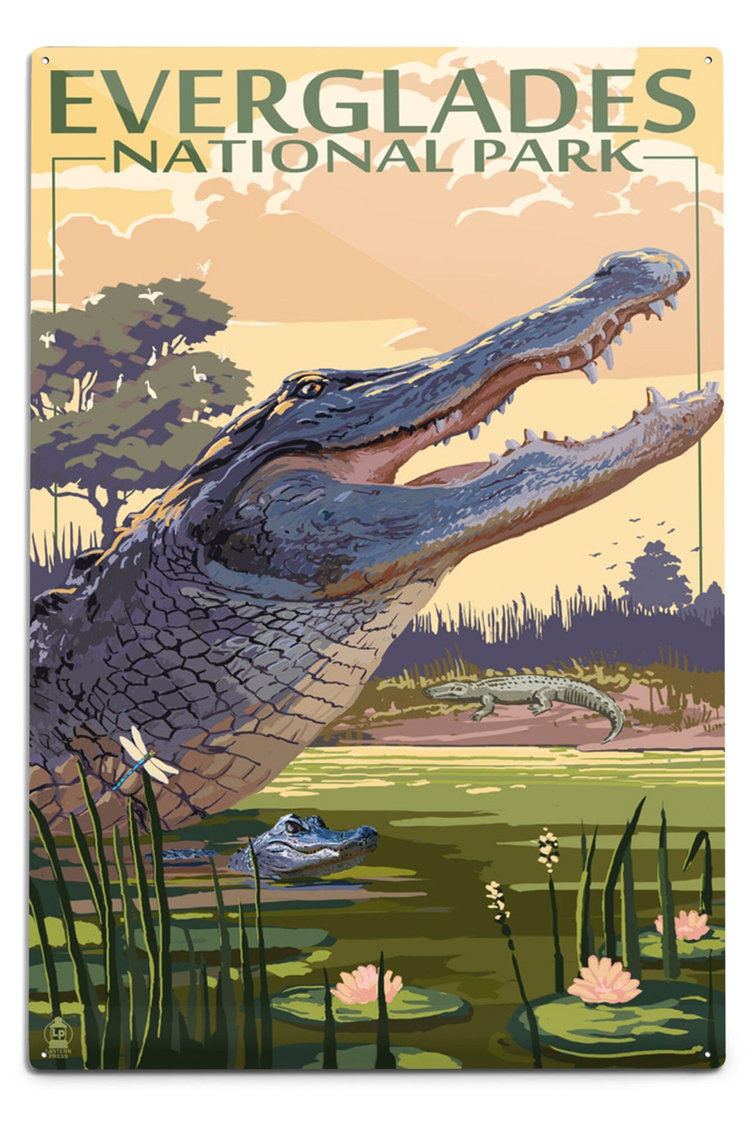 The Everglades National Park, Florida, Alligator Scene, Painterly Series, Metal Signs Metal Lantern Press 12x18 Metal Sign 