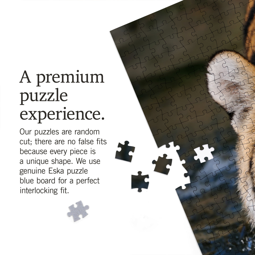 Tiger Reflection, Jigsaw Puzzle Puzzle Lantern Press 