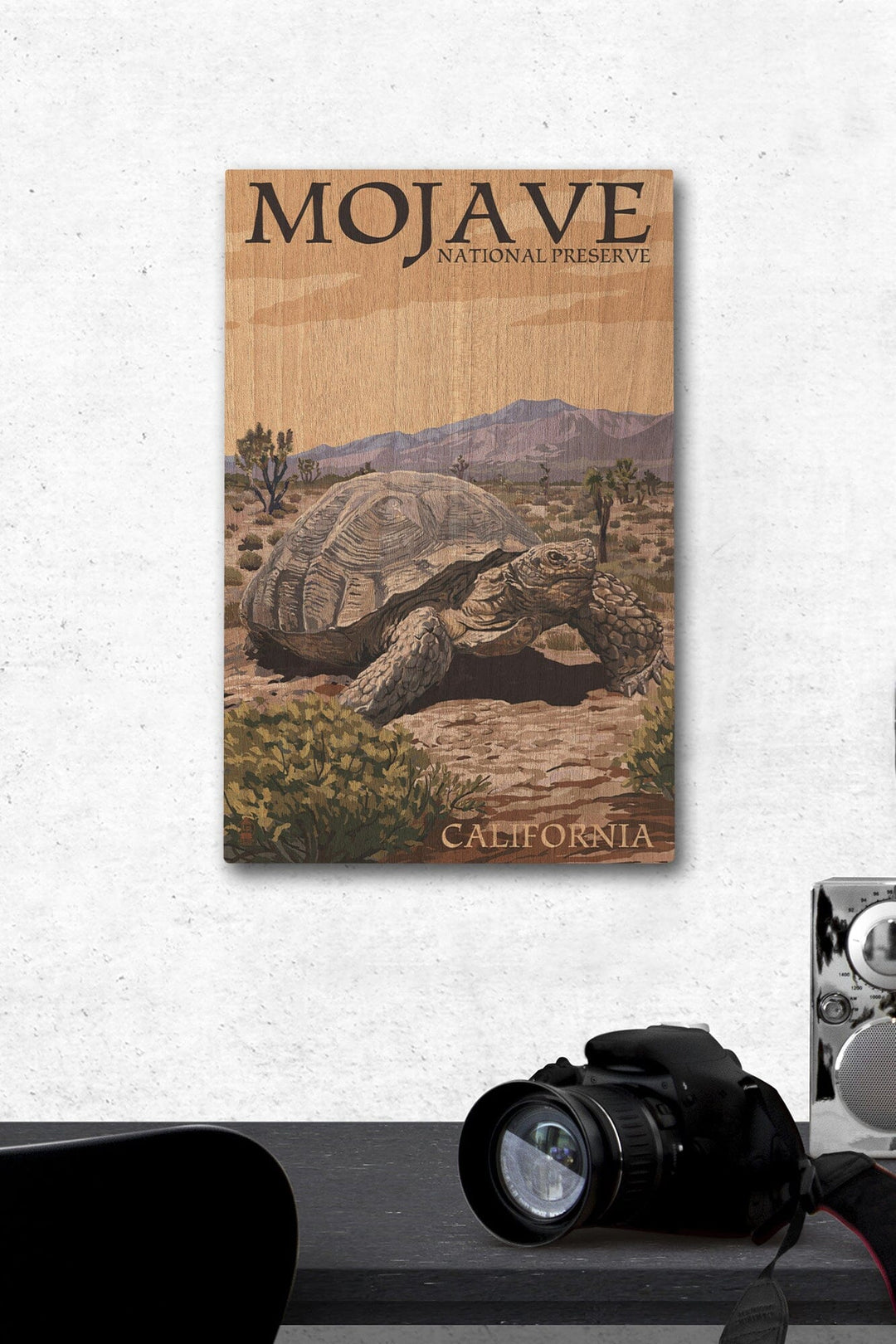 Tortoise, Mojave National Preserve, California, Lantern Press Artwork, Wood Signs and Postcards Wood Lantern Press 12 x 18 Wood Gallery Print 
