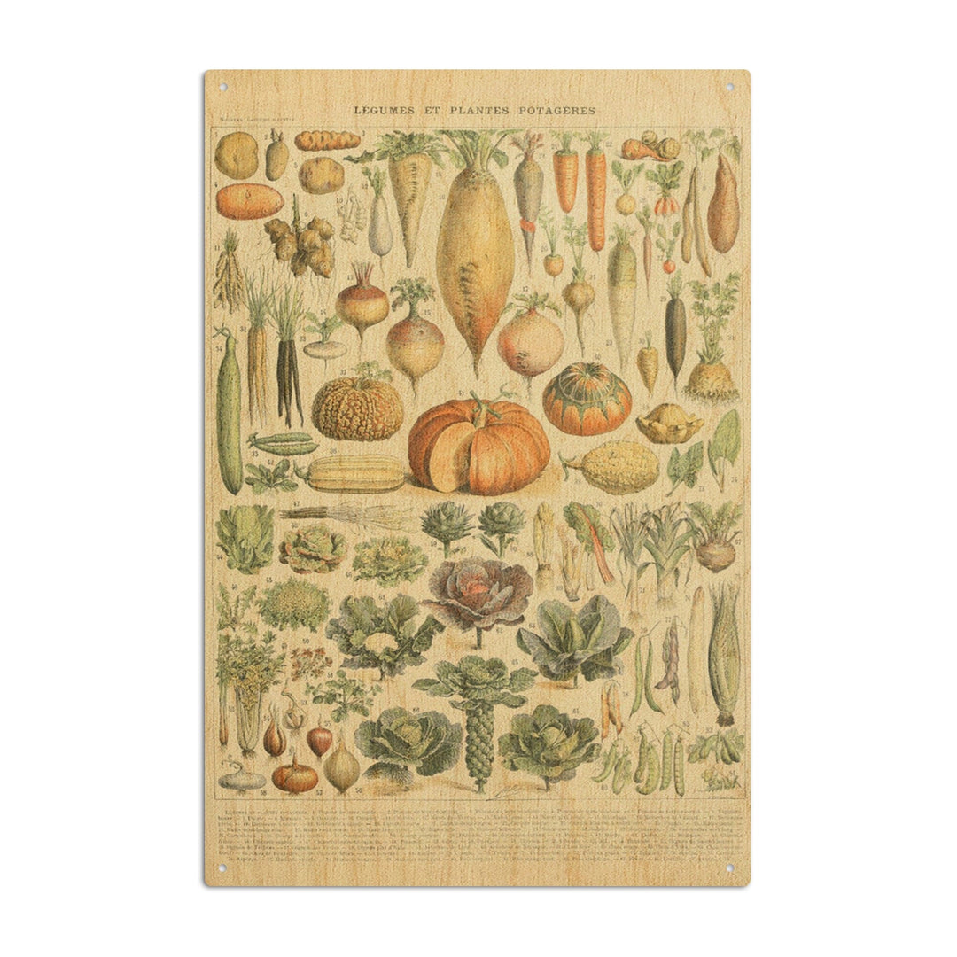 Vegetables, A, Vintage Bookplate, Adolphe Millot Artwork, Wood Signs and Postcards Wood Lantern Press 10 x 15 Wood Sign 